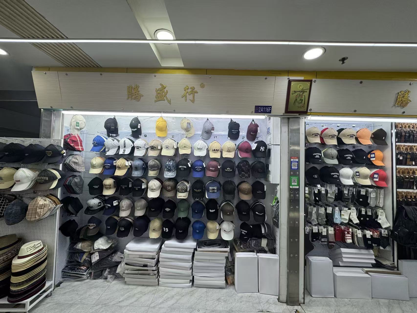 腦盛行