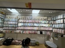 俊邦(可mi亚)儿童内裤🌈 工厂店