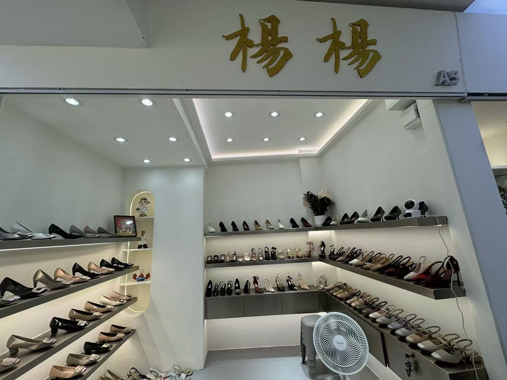 楊楊